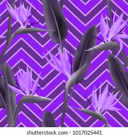 Bird of paradise tropical flower vector seamless pattern.  Creative african crane flower or strelitzia reginae blossom floral fabric pattern. Jungle leaves, paradise tropical plant backdrop.