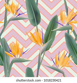 Bird of paradise tropical flower vector seamless pattern.  Realistic african crane flower or strelitzia reginae blossom floral fabric pattern. Jungle leaves, paradise tropical plant background.