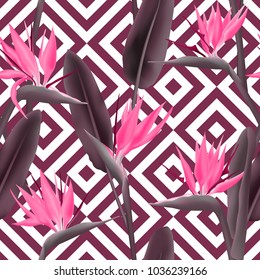 Bird of paradise tropical flower vector seamless pattern.  Fresh african crane flower or strelitzia reginae blossom floral textile pattern. Jungle leaves, paradise tropical plant backdrop.