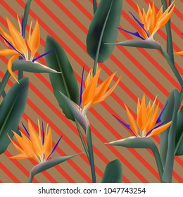 Bird of paradise tropical flower vector seamless pattern.  Beautiful african crane flower or strelitzia reginae blossom floral textile pattern. Jungle leaves, paradise tropical plant summer design