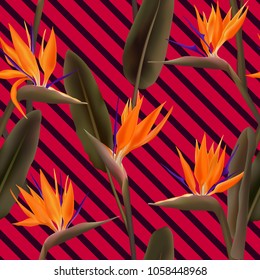 Bird of paradise tropical flower vector seamless pattern.  Delicate african crane flower or strelitzia reginae blossom floral textile pattern. Jungle leaves, paradise tropical plant background.
