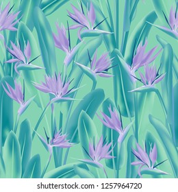 Bird of paradise tropical flower vector seamless pattern. Bohemian tropical plant fabric print design. South African plant tropical blossom of crane flower, strelitzia. Floral textile print.