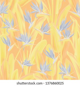 Bird of paradise tropical flower vector seamless pattern. Jungle plant paradise tropical summer fabric design. South African plant tropical blossom of crane flower, strelitzia. Floral wallpaper.