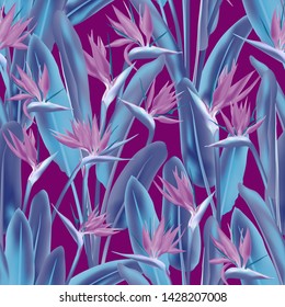 Bird of paradise tropical flower vector seamless pattern. Jungle exotic tropical plant fabric design. South African plant tropical blossom of crane flower, strelitzia. Floral wallpaper.