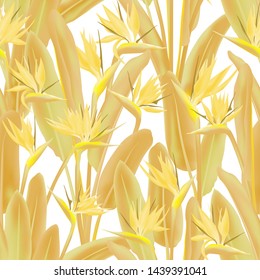 Bird of paradise tropical flower vector seamless pattern. Jungle exotic tropical plant fabric design. South African plant tropical blossom of crane flower, strelitzia. Floral wallpaper.