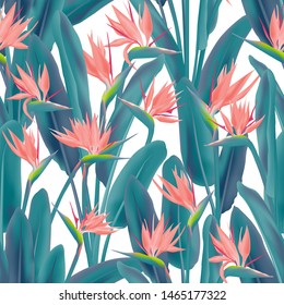 Bird of paradise tropical flower vector seamless pattern. Jungle plant paradise tropical summer fabric design. South African plant tropical blossom of crane flower, strelitzia. Floral textile print.