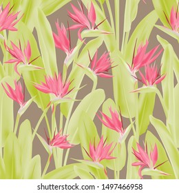 Bird of paradise tropical flower vector seamless pattern. Jungle exotic tropical plant fabric design. South African plant tropical blossom of crane flower, strelitzia. Floral textile print.