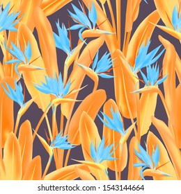 Bird of paradise tropical flower vector seamless pattern. Bohemian tropical plant fabric print design. South African plant tropical blossom of crane flower, strelitzia. Floral wallpaper.