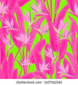 Bird of paradise tropical flower vector seamless pattern. Jungle exotic tropical plant fabric design. South African plant tropical blossom of crane flower, strelitzia. Floral textile print.