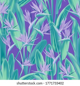 Pájaro del paraíso del vector de flores tropicales patrón sin fisuras. Diseño de impresión de tela vegetal tropical bohemiana. Flor tropical de plantas sudafricanas de flor de grúa, estrelitzia. Impresión textil floral.