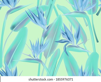 Bird of paradise tropical flower vector seamless pattern. Jungle plant paradise tropical summer fashion design. South African plant tropical blossom of crane flower, strelitzia. Floral textile print.