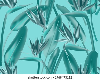 Bird of paradise tropical flower vector seamless pattern. Jungle plant paradise tropical summer fashion design. South African plant tropical blossom of crane flower, strelitzia. Floral textile print.