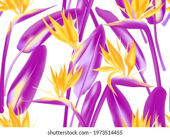 Bird of paradise tropical flower vector seamless pattern. Jungle plant paradise tropical summer fashion design. South African plant tropical blossom of crane flower, strelitzia. Floral textile print.