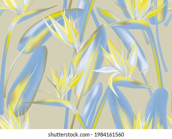 Bird of paradise tropical flower vector seamless pattern. Jungle plant paradise tropical summer fashion design. South African plant tropical blossom of crane flower, strelitzia. Floral textile print.