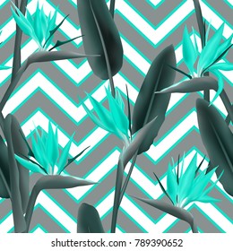 Bird of paradise tropical flower vector seamless pattern.  Modern african crane flower or strelitzia reginae blossom floral fabric pattern. Jungle leaves, paradise tropical plant background.