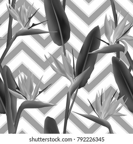 Bird of paradise tropical flower vector seamless pattern.  Natural african crane flower or strelitzia reginae blossom floral fabric pattern. Jungle leaves paradise tropical plant graphic design
