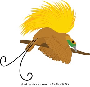 bird of paradise, bird of paradise vector illustration