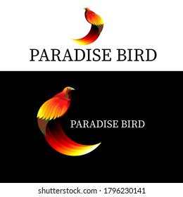 Bird of paradise. Vector paradise bird logo. for the company logo. paradise colorful logo