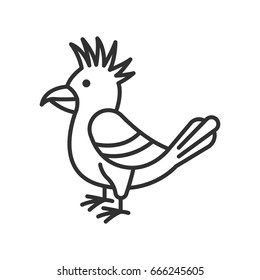 Bird. A parrot