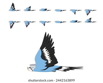 Bird Parrot Budgerigar Blue Flying Animation Sequence Cartoon Vector