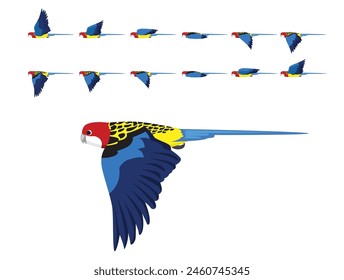 Bird Parrot Eastern Rosella Flying Animation Sequence Vector de dibujos animados