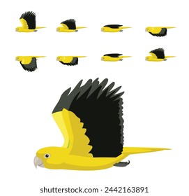 Bird Parrot Golden Parakeet Conure Flying Animation Sequence Cartoon Vector