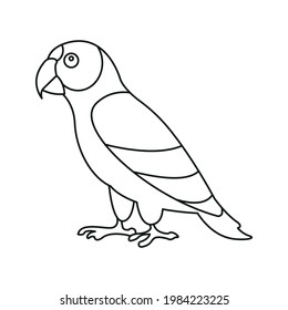 Bird parrot line icon vector