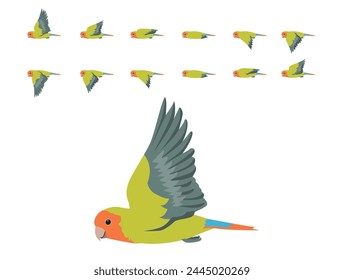 Bird Parrot Lovebird Rosy-faced Flying Animation Sequence Cartoon Vector