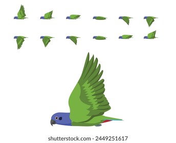 Pájaro Loro Pionus Cabeza Azul Volador Secuencia De Animación Vector De Dibujos Animados