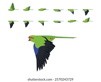 Bird Parrot Red-Crowned Parakeet Kakariki New Zealand Flying Animation Sequence Cartoon Vector