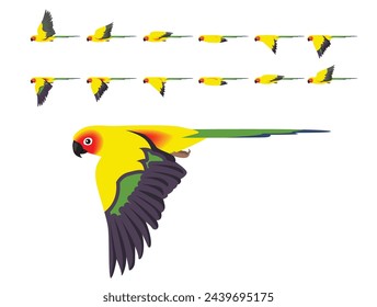 Bird Parrot Sun Conure Parakeet Flying Animation Sequence Cartoon Vector