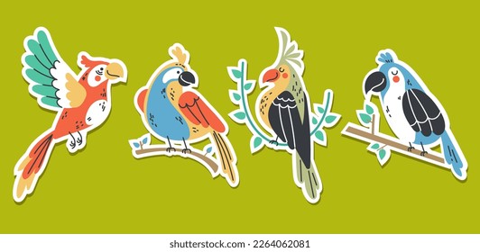 Bird parrot tropical animal summer style stickers concept set. Graphic design vector illustration
