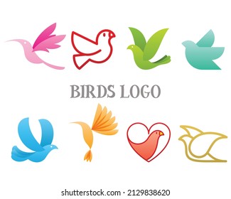 Bird pattern design and illustration art