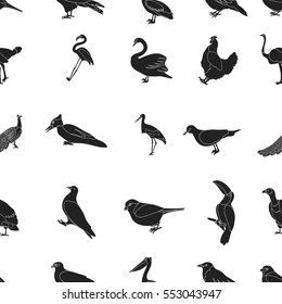 Bird pattern icons in black style. Big collection of bird vector symbol stock illustration