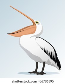 The bird a pelican costs with an open big beak