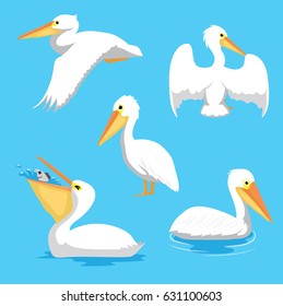 Bird Pelican Poses Cartoon Vector Illustration