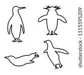bird penguin icon vector template 