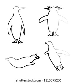 bird penguin icon vector template 