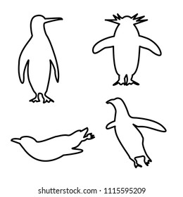 bird penguin icon vector template 