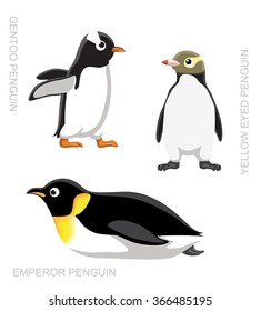 Bird Penguin Set Cartoon Vector Illustration