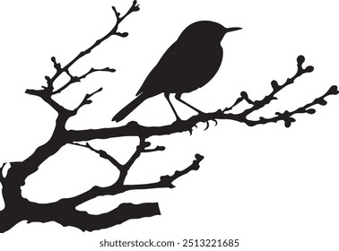 Ein Vogel auf einem Ast, Silhouette Illustrationen Vektorgrafik mit weißem Hintergrund