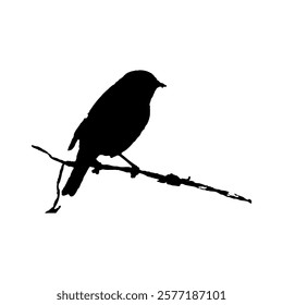 
Bird perched on a branch silhouette vector.