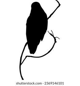 Bird Perched on the Branch of the Tree Silhouette. Vector Illustration