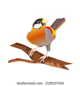 bird perched on a branch.Isolated vector illustration on a white background.