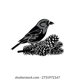 Bird perched on pine branch with cones black and white pine cone evergreen nature des