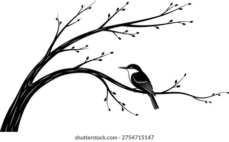 Bird perched on tree branch silhouette, nature vector illustration, wildlife artwork design, avian shadow graphics, botanical plant icons, forest bird decorative artwork