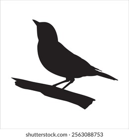 Bird Perching On Branch in silhouette stock illustration