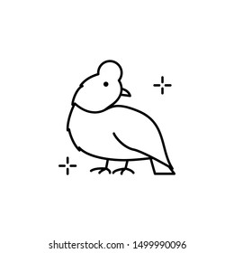 Bird Peru icon. Element of Peru icon
