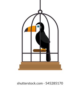 bird pet shop icon