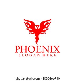 bird phoenix logo vector